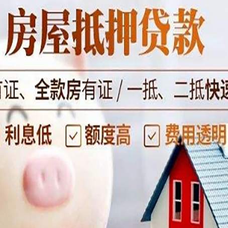 汉源贷款助贷公司新渝启服成立时间久